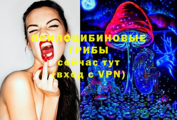 амф Аркадак