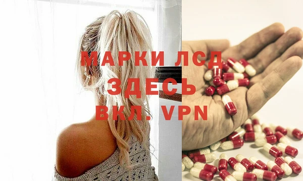 гашик Арсеньев