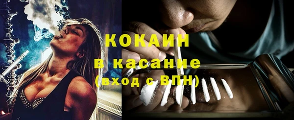 гашик Арсеньев