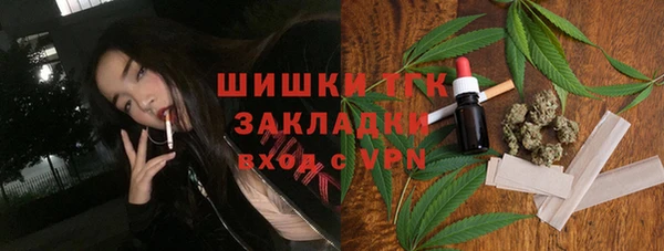 гашик Арсеньев