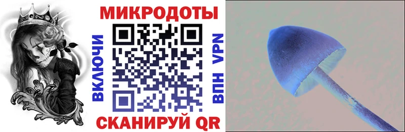 Галлюциногенные грибы GOLDEN TEACHER  Купить закладки  Арсеньев 