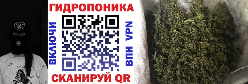 Купить  Арсеньев  Шишки марихуана сатива 